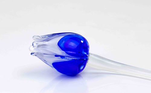 Loranto + Tulp, blauw-wit